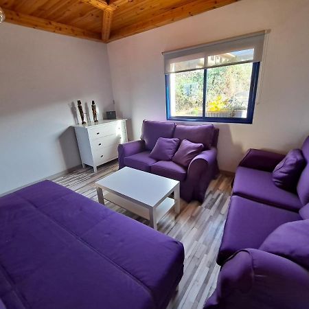 Tenerife Apartment 100M2 Casa De Don Quijote With A Terrace Of 100M2 With A View Of The Ocean And Teide Volcano And A Garden Of 600M2 Икод де лос Винос Екстериор снимка
