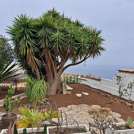 Tenerife Apartment 100M2 Casa De Don Quijote With A Terrace Of 100M2 With A View Of The Ocean And Teide Volcano And A Garden Of 600M2 Икод де лос Винос Екстериор снимка