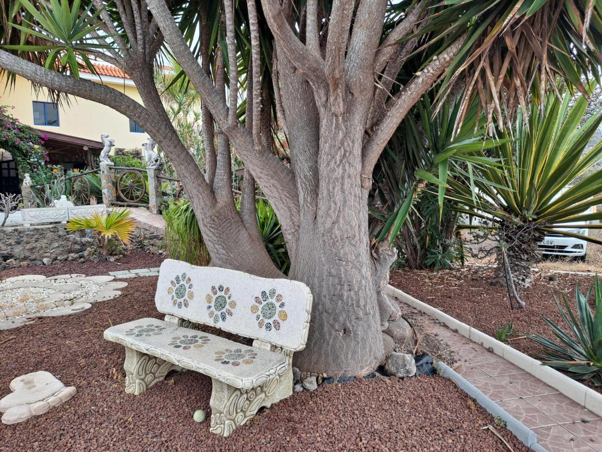 Tenerife Apartment 100M2 Casa De Don Quijote With A Terrace Of 100M2 With A View Of The Ocean And Teide Volcano And A Garden Of 600M2 Икод де лос Винос Екстериор снимка