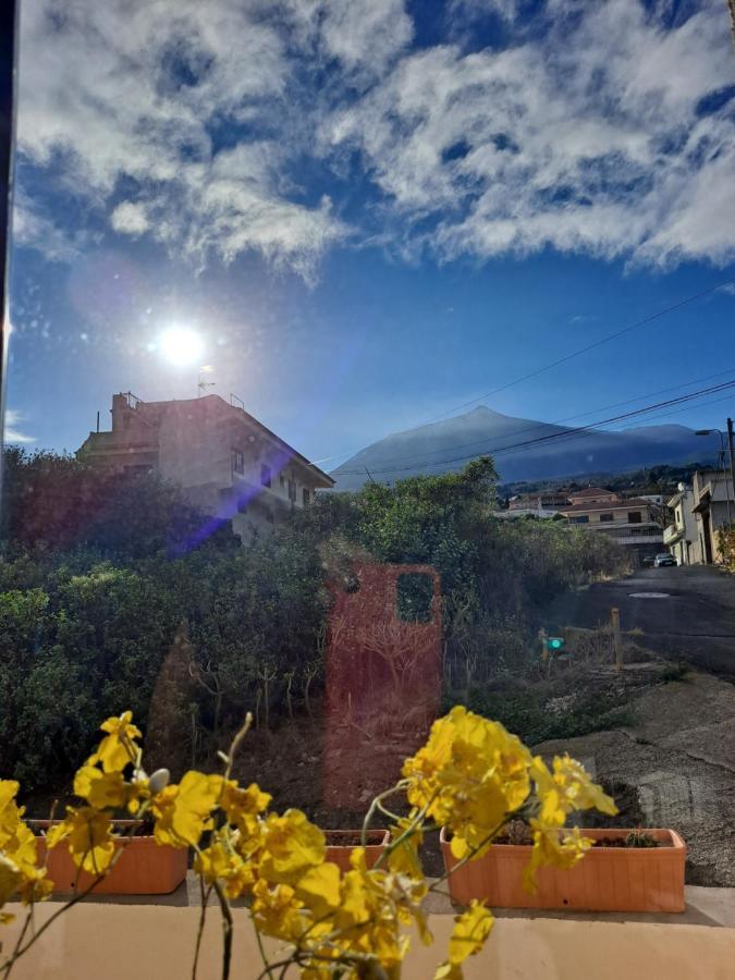 Tenerife Apartment 100M2 Casa De Don Quijote With A Terrace Of 100M2 With A View Of The Ocean And Teide Volcano And A Garden Of 600M2 Икод де лос Винос Екстериор снимка