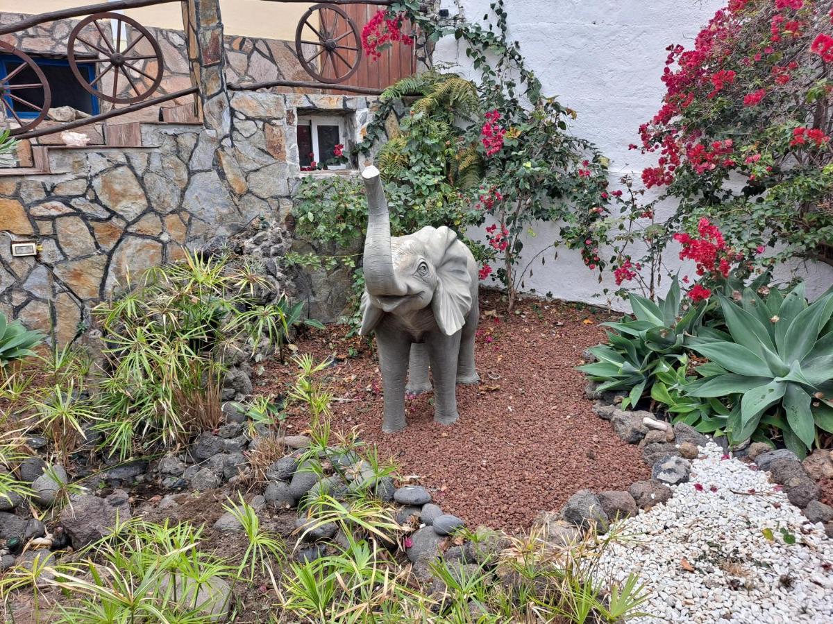 Tenerife Apartment 100M2 Casa De Don Quijote With A Terrace Of 100M2 With A View Of The Ocean And Teide Volcano And A Garden Of 600M2 Икод де лос Винос Екстериор снимка