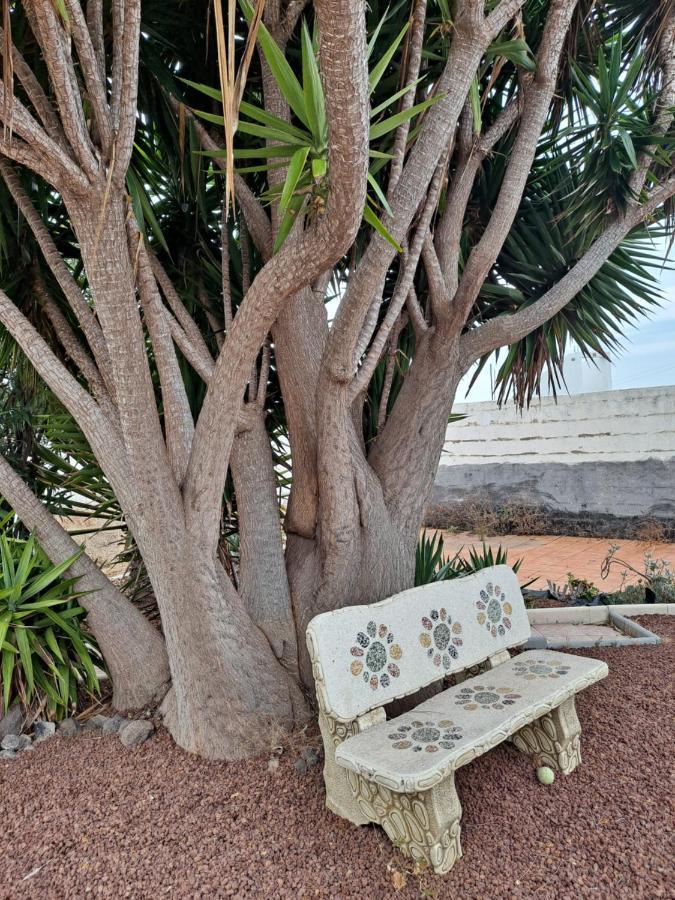 Tenerife Apartment 100M2 Casa De Don Quijote With A Terrace Of 100M2 With A View Of The Ocean And Teide Volcano And A Garden Of 600M2 Икод де лос Винос Екстериор снимка